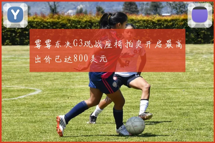 霉霉东决G3观战座椅拍卖开启最高出价已达800美元